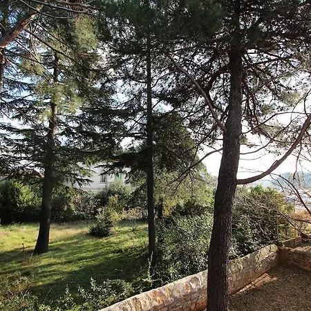 Nautica Novigrad Istria