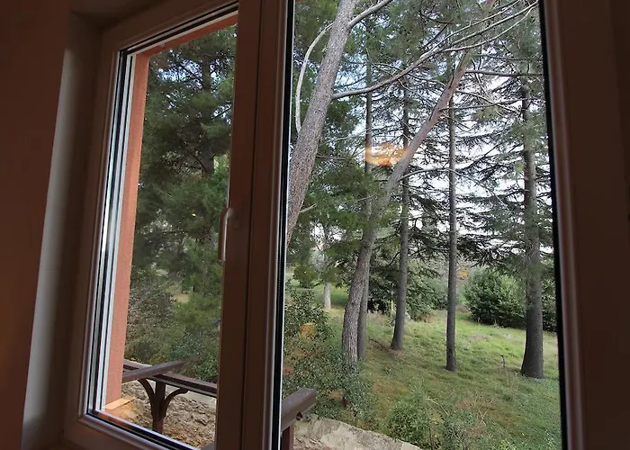 Nautica Novigrad Istria